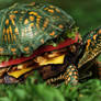 Turtle burger