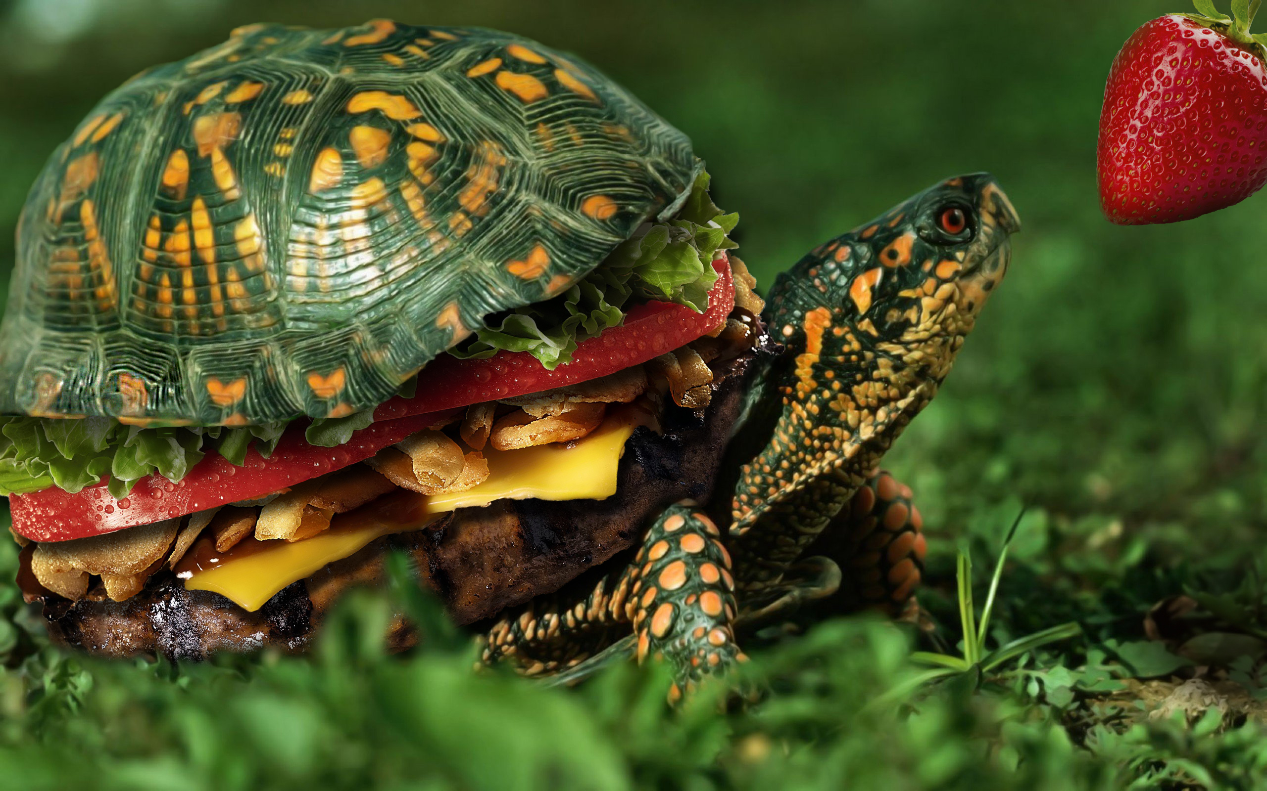 Turtle burger by Frontside92 on DeviantArt
