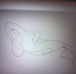 Tilikum Sketch by JadeDragonOfDeath