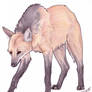 Maned Wolf