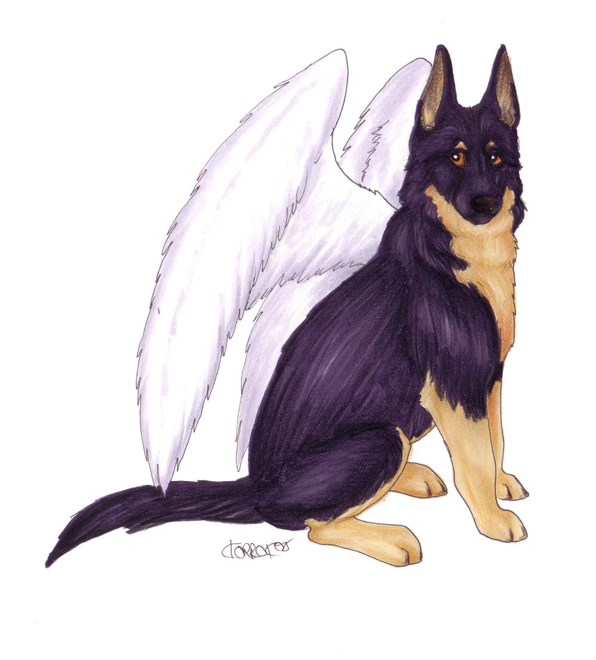 Winged German Shepherd