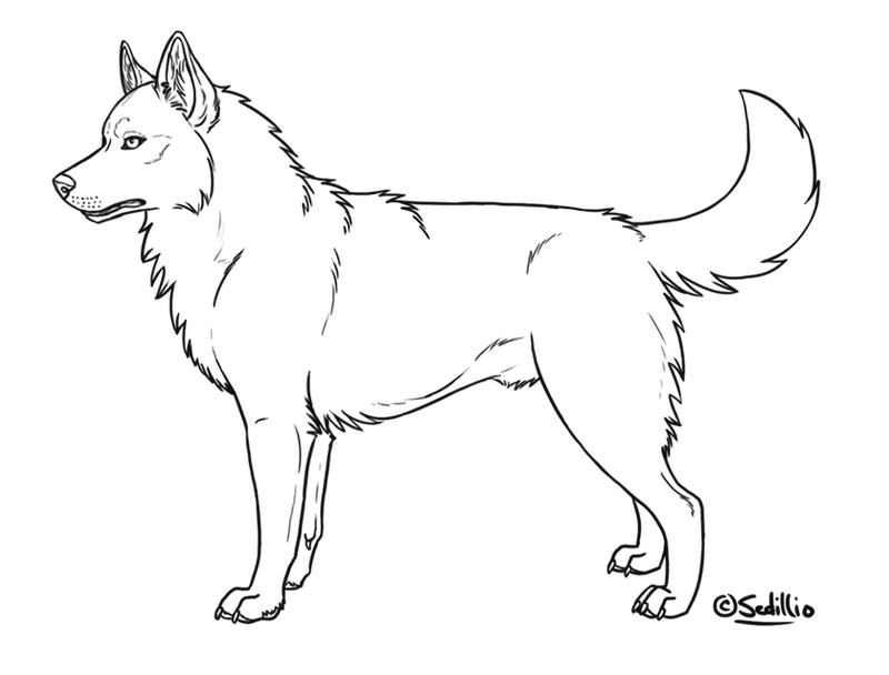 Free Siberian Husky Lineart