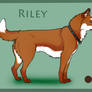 WCK's Autumn Sonata: Riley