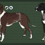 Catahoula Designs for Kirana-chan