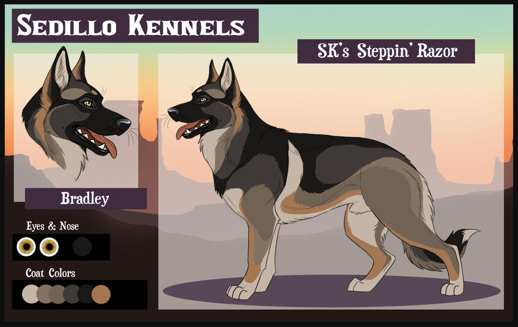 SK's Steppin' Razor: Bradley by Sedillo-Kennels on DeviantArt