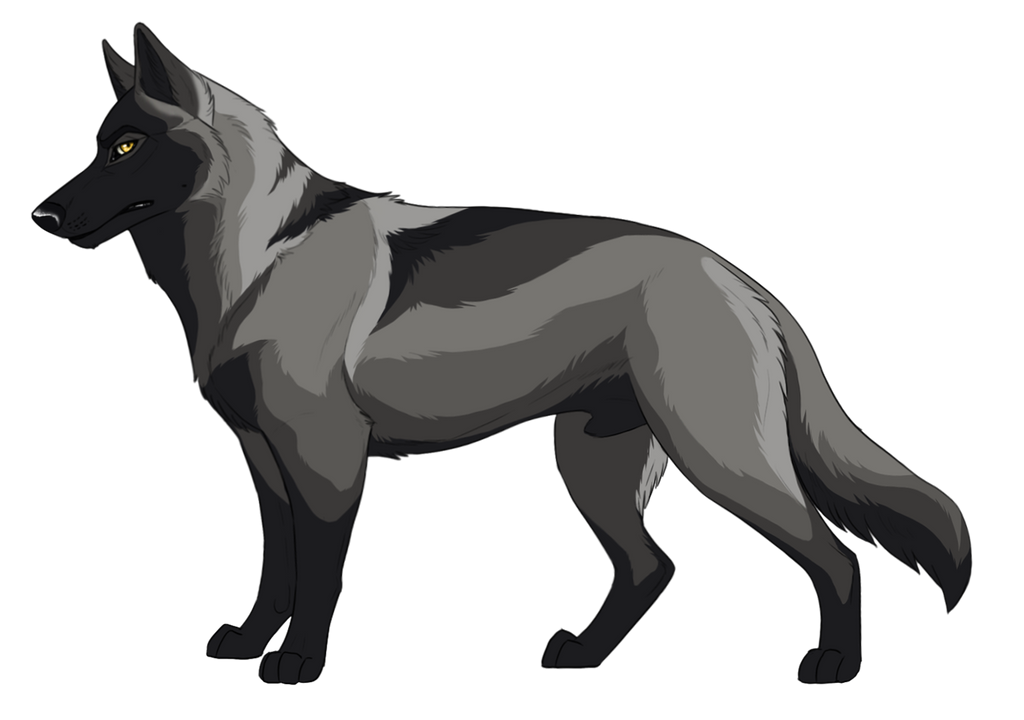 Turkel Character Custom Character: Turklez by Sedillo-Kennels on DeviantArt