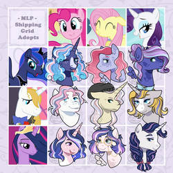 9/9 OPEN MLP Headshot Grid Adopts