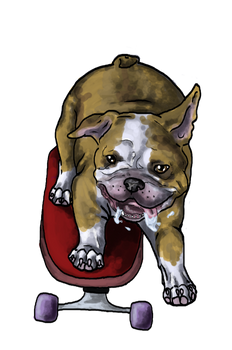 'Boarding Bulldog