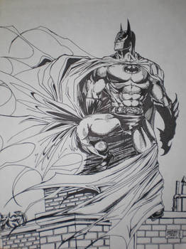 Batman Darkness Study