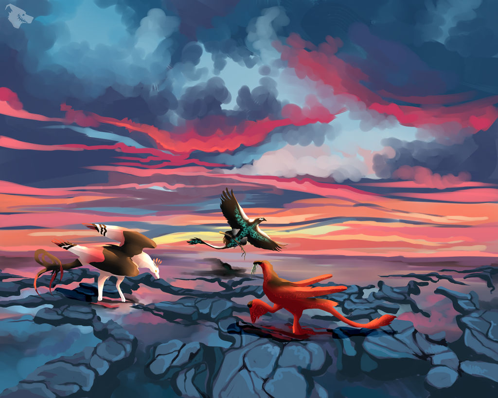 Coastal Seashells search | DracoStryx Scavenging