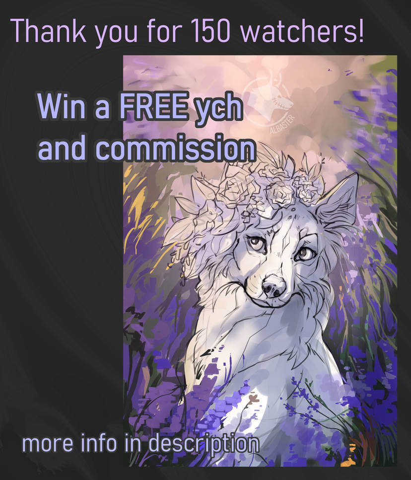 Thank you for 150 watchers!