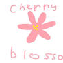 cherry blossom