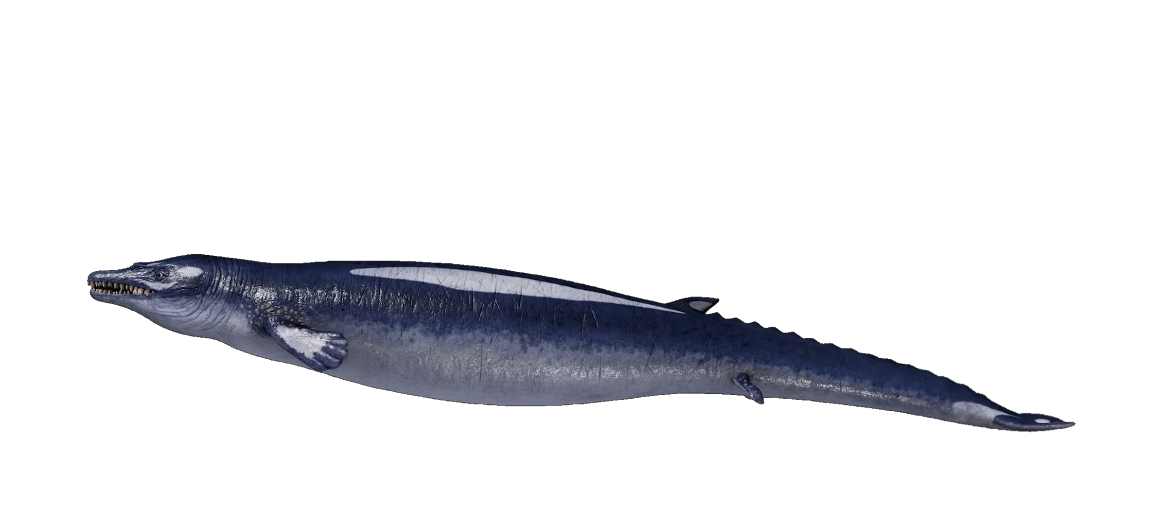 Basilosaurus Deviantart Basilosaurus render by makeshiftnapkin on DeviantArt