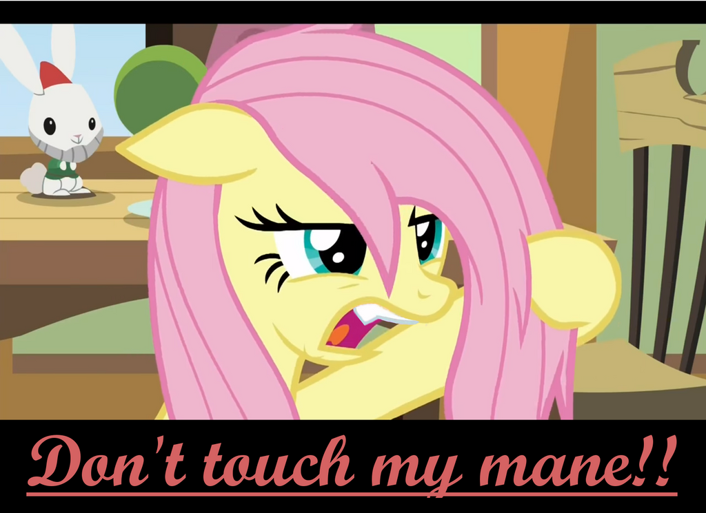 Don't touch the mane