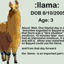 llama ID