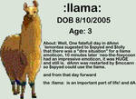 llama ID by dAllamas