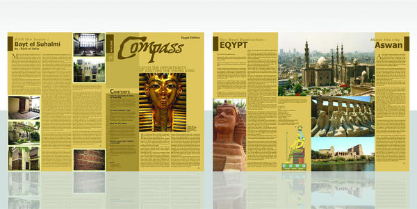 Egypt Newsletter