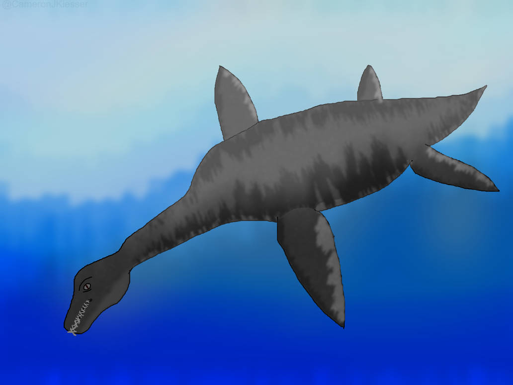 Plesiosaur drawing by CameronKiesser on DeviantArt