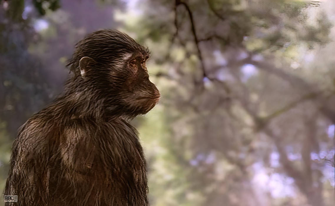 Australopithecus Images Animation Australopithecus Upscaled by Cameron-Kiesser on DeviantArt