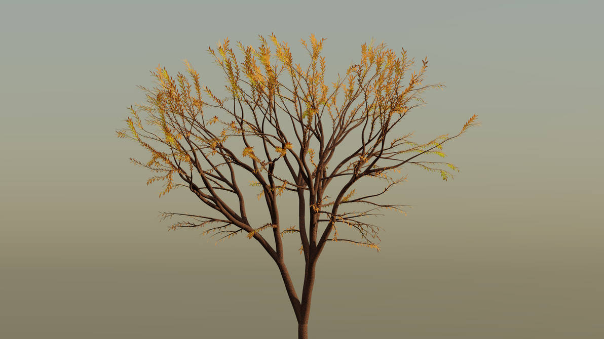 Tree Render Deviantart Procedural Tree Render by Cameron-Kiesser on DeviantArt