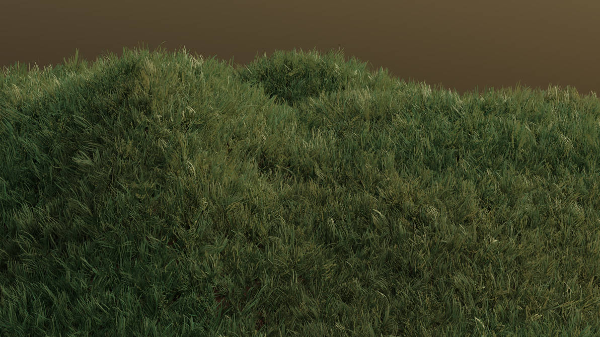 Grass Render by Cameron-Kiesser on DeviantArt