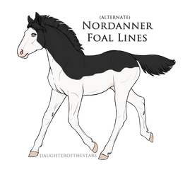 2187 Foal Design Recreation