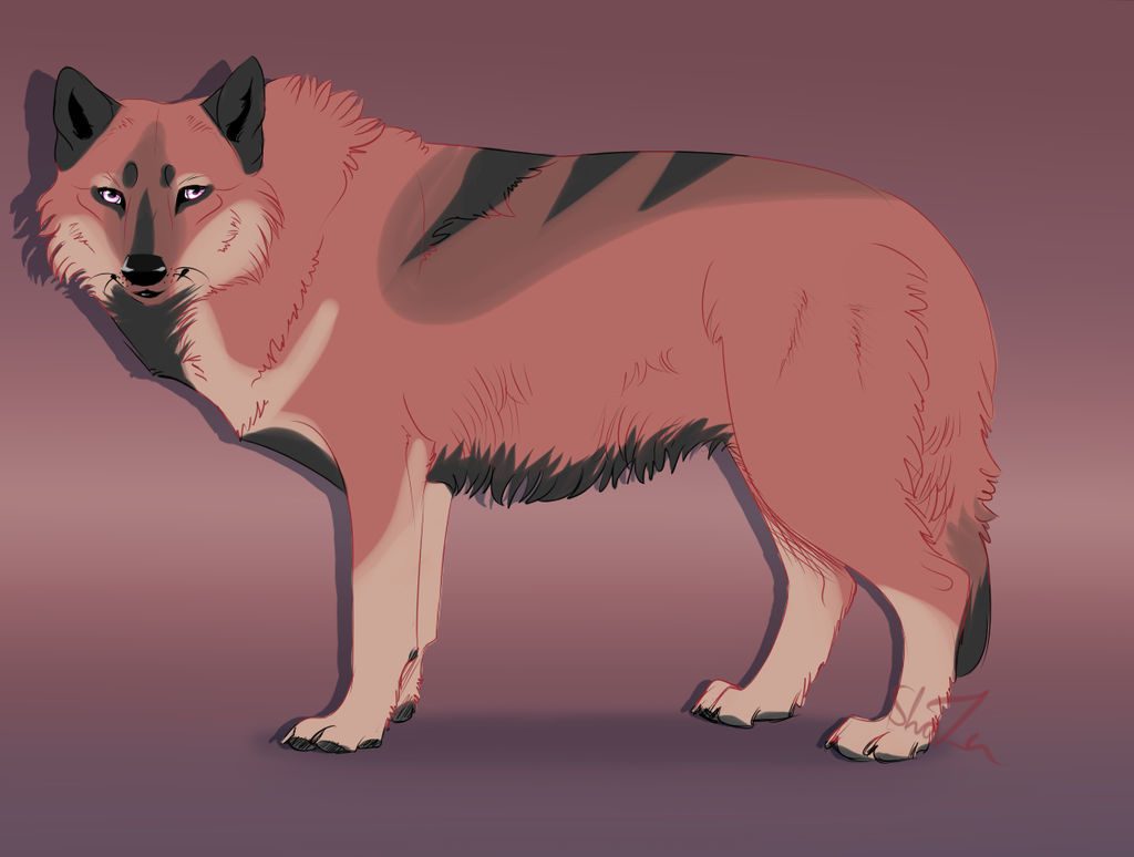 Wolf Character Design - CLOSED by ForgottenAmnesty on DeviantArt