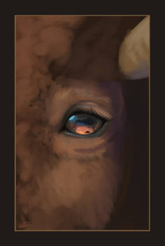 Vision of Badlands - WIP