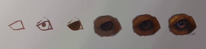 2023 Canine Eye Tutorial