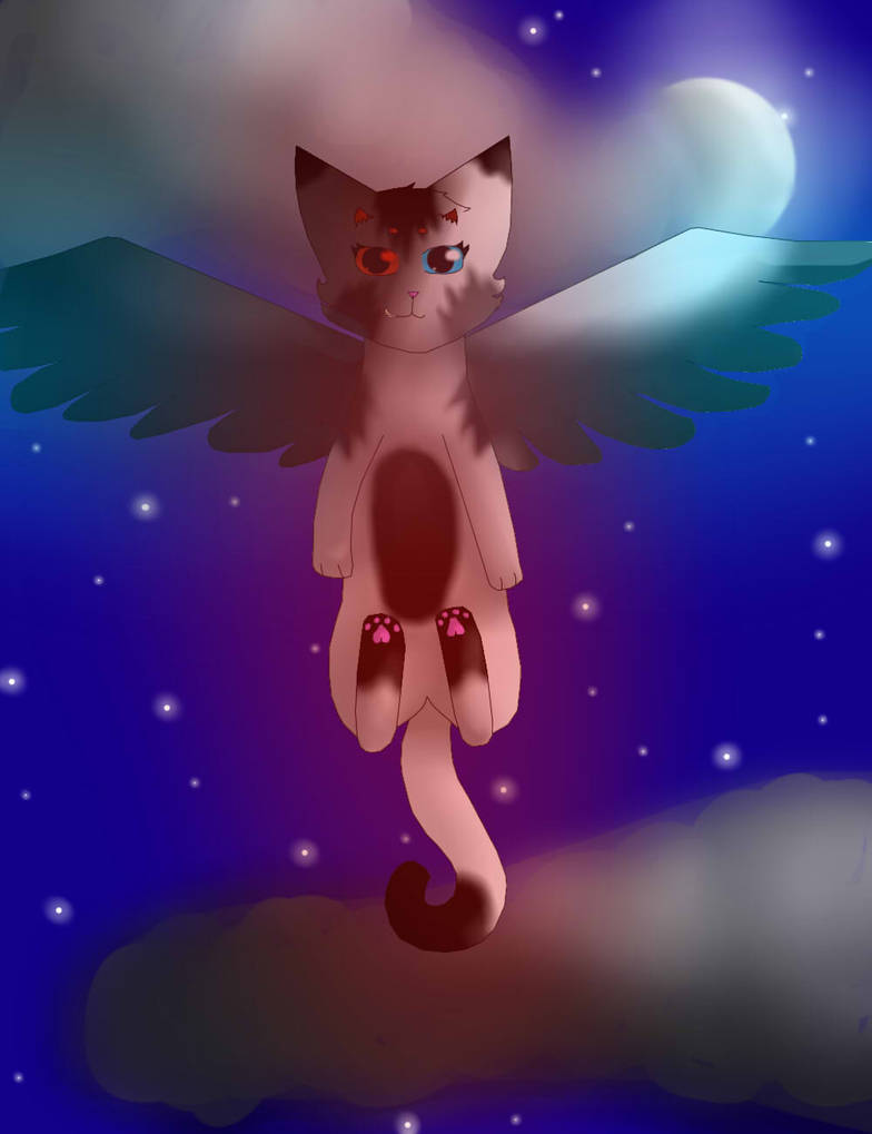 Chat Ange Demon Commande By Papillondargent On Deviantart Chat Ange Demon Commande By Papillondargent On Deviantart