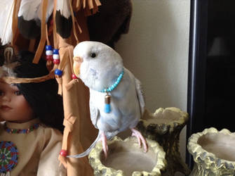 Angelwings showing off his turquoise necklace ^_^