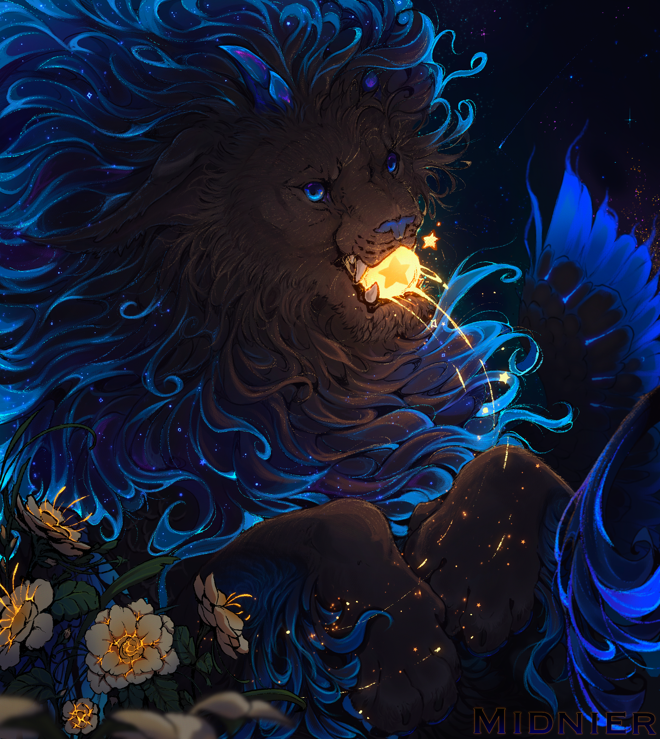 Stars + full process video