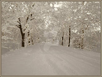 Theme - Winter road 1