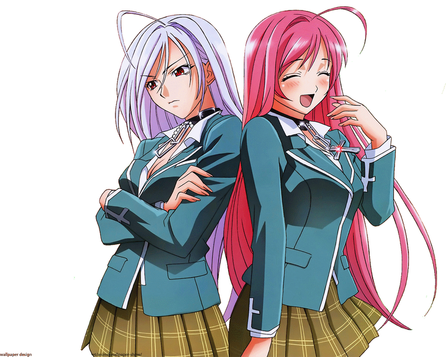 Anime similar to rosario vampire
