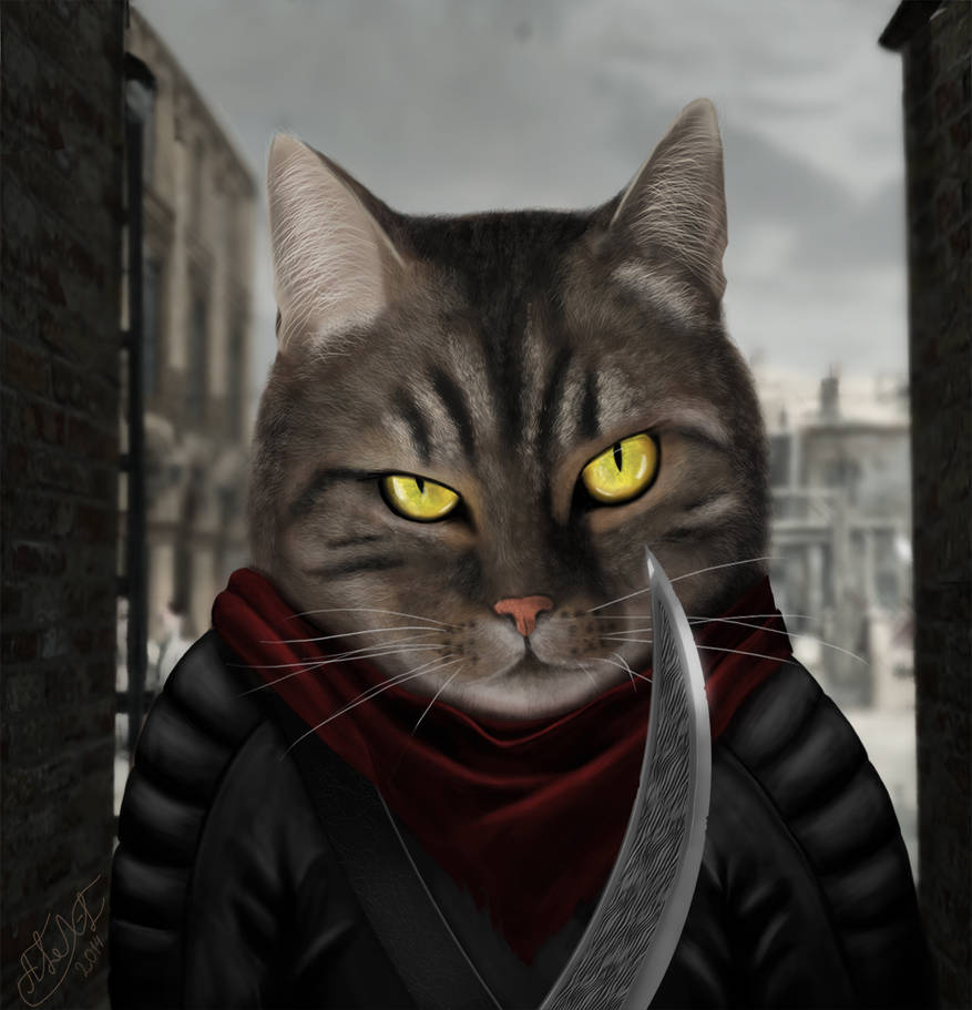 Assassin Cat by ALXLight on DeviantArt