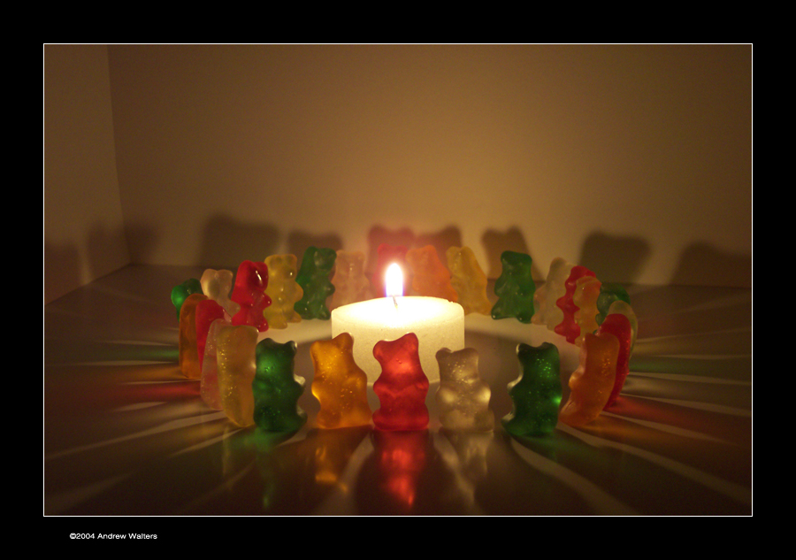 Gummi Holidays 2