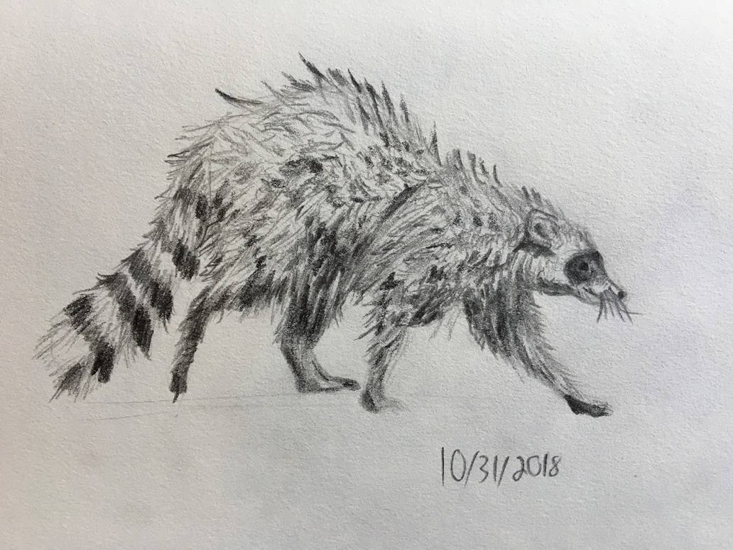 poor raccoon by SecretStashMan on DeviantArt