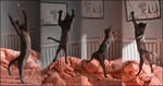 cat ballet by cougarLV