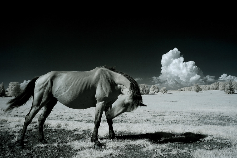 angry mood - infrared