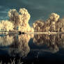 the mirror pool - infrared