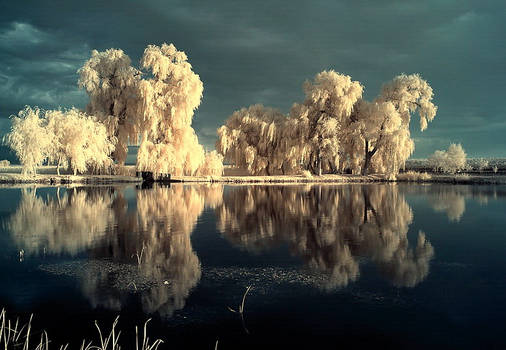 the mirror pool - infrared