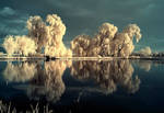 the mirror pool - infrared by Konczey-Zsolt