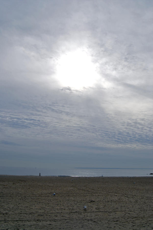 Beach Day