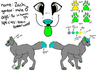 Zach Reference Sheet