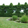 topiary2