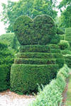 topiary11