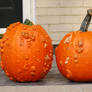 warty pumpkins