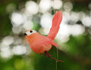 pink birdie