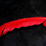 red quill