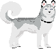 Pixel Husky